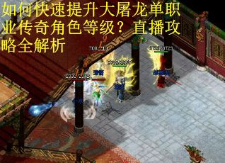 如何快速提升大屠龙单职业传奇角色等级？直播攻略全解析