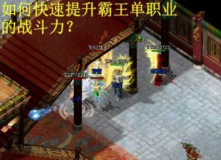 如何快速提升霸王单职业的战斗力? 如何快速提升霸王单职业的战斗力?