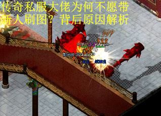 传奇私服大佬为何不愿带新人刷图？背后原因解析
