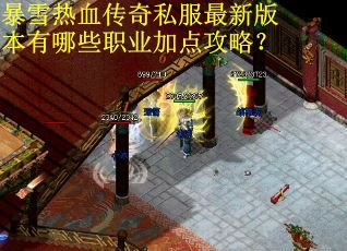 暴雪热血传奇私服最新版本有哪些职业加点攻略？