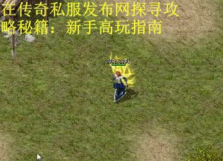 在传奇私服发布网探寻攻略秘籍：新手高玩指南