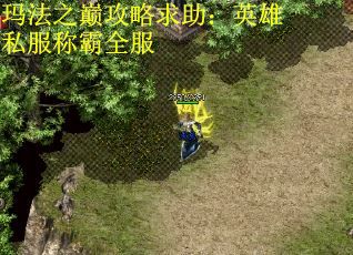 玛法之巅攻略求助：英雄私服称霸全服