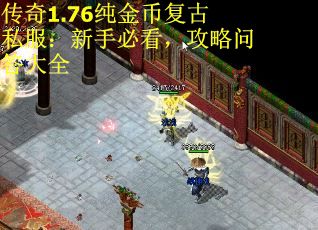 传奇1.76纯金币复古私服：新手必看，攻略问答大全