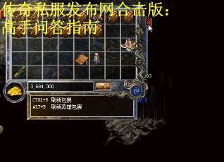 传奇私服发布网合击版：高手问答指南