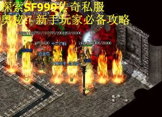 探索SF999传奇私服奥秘：新手玩家必备攻略