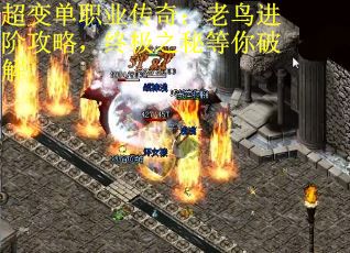 超变单职业传奇：老鸟进阶攻略，终极之秘等你破解