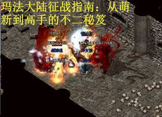 玛法大陆征战指南：从萌新到高手的不二秘笈