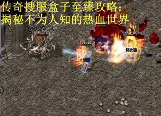 传奇搜服盒子至臻攻略：揭秘不为人知的热血世界