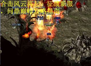 合击风云再起：征战新服，问鼎巅峰攻略指南