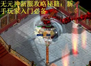 无元神新服攻略秘籍:新手玩家入门必备 无元神新服攻略秘籍:新手玩家入门必备
