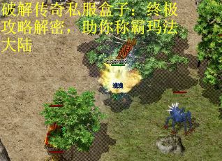 破解传奇私服盒子:终极攻略解密,助你称霸玛法大陆 破解传奇私服盒子:终极攻略解密,助你称霸玛法大陆