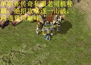 单职业传奇私服老司机秘籍：绝招攻略逐一击破，问道登顶巅峰