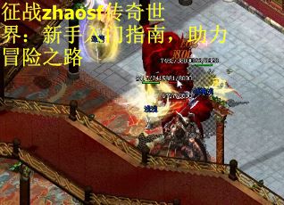 征战zhaosf传奇世界：新手入门指南，助力冒险之路