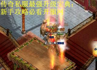 传奇私服最强升级宝典：新手攻略必看开服网