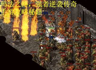 玛法之路，强者逆袭传奇手游攻略秘籍