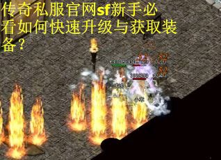传奇私服官网sf新手必看如何快速升级与获取装备？