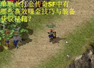 单职业打金传奇SF中有哪些高效赚金技巧与装备获取秘籍？