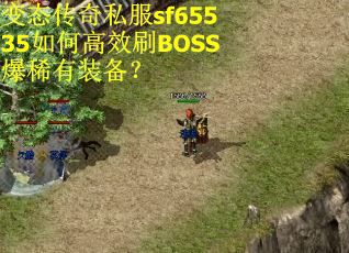 变态传奇私服sf65535如何高效刷BOSS爆稀有装备？