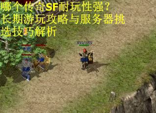 哪个传奇SF耐玩性强？长期游玩攻略与服务器挑选技巧解析