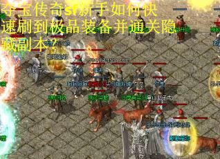 夺宝传奇sf新手如何快速刷到极品装备并通关隐藏副本？