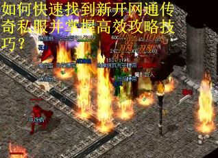 如何快速找到新开网通传奇私服并掌握高效攻略技巧？