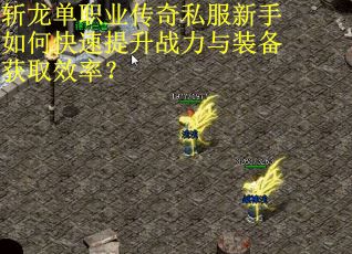 斩龙单职业传奇私服新手如何快速提升战力与装备获取效率？