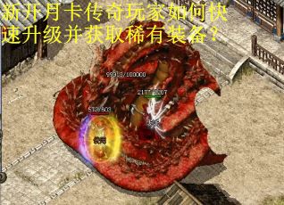 新开月卡传奇玩家如何快速升级并获取稀有装备？
