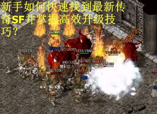 新手如何快速找到最新传奇SF并掌握高效升级技巧？