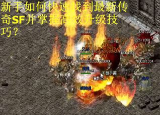 新手如何快速找到最新传奇SF并掌握高效升级技巧？