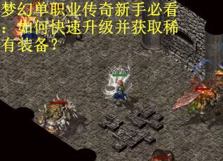 梦幻单职业传奇新手必看：如何快速升级并获取稀有装备？