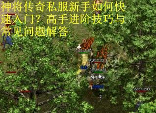 神将传奇私服新手如何快速入门？高手进阶技巧与常见问题解答