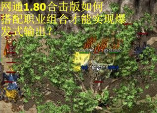 网通1.80合击版如何搭配职业组合才能实现爆发式输出？