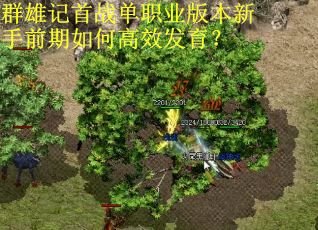 群雄记首战单职业版本新手前期如何高效发育？