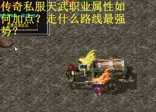 传奇私服天武职业属性如何加点？走什么路线最强势？