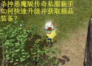 杀神恶魔版传奇私服新手如何快速升级并获取极品装备？