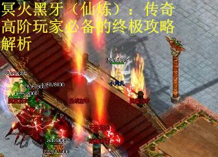 冥火黑牙（仙炼）：传奇高阶玩家必备的终极攻略解析