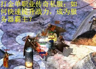 打金单职业传奇私服：如何快速提升战力，成为服务器霸主？