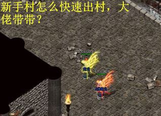 新手村怎么快速出村，大佬带带？