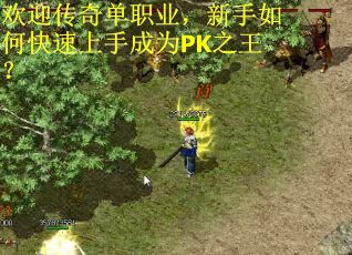 欢迎传奇单职业，新手如何快速上手成为PK之王？