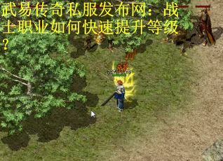 武易传奇私服发布网：战士职业如何快速提升等级？