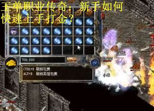 王单职业传奇：新手如何快速上手打金？