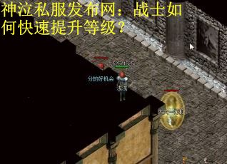 神泣私服发布网：战士如何快速提升等级？