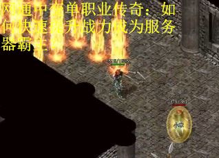网通中变单职业传奇：如何快速提升战力成为服务器霸主？
