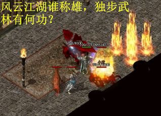 风云江湖谁称雄，独步武林有何功？