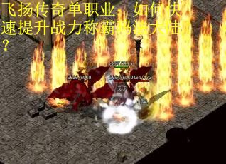 飞扬传奇单职业：如何快速提升战力称霸玛法大陆？
