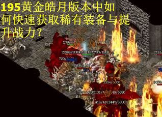 195黄金皓月版本中如何快速获取稀有装备与提升战力？