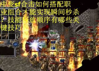 中变sf合击如何搭配职业组合才能实现瞬间秒杀？技能释放顺序有哪些关键技巧？