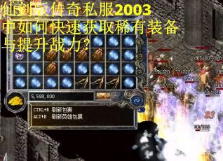 仙剑版传奇私服2003中如何快速获取稀有装备与提升战力？