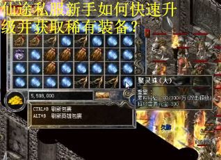 仙途私服新手如何快速升级并获取稀有装备？