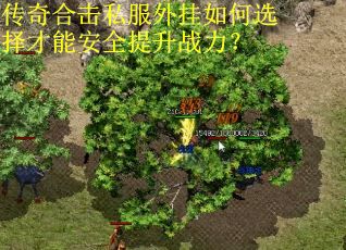 传奇合击私服外挂如何选择才能安全提升战力？
